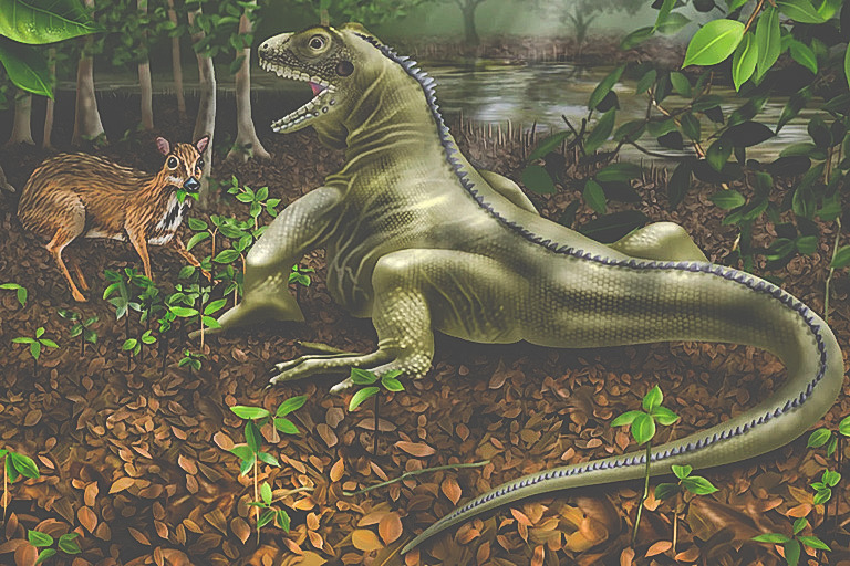 Giant lizard Jim Morrison (Credit: Angie Fox, Nebraska State Museum of Natural History, University of Nebraska-Lincoln)